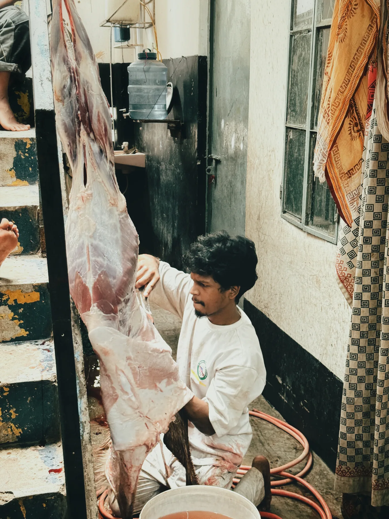Livestock handover proof